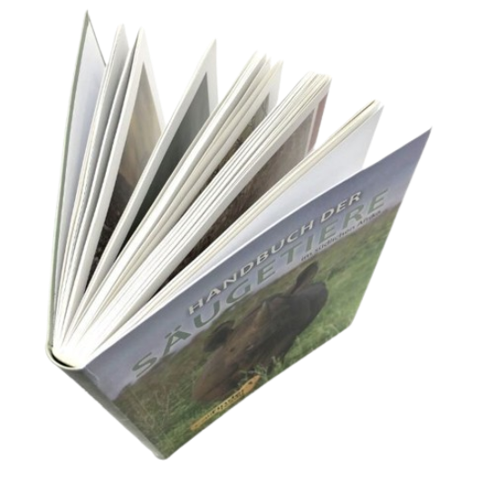 flexibound book without flaps