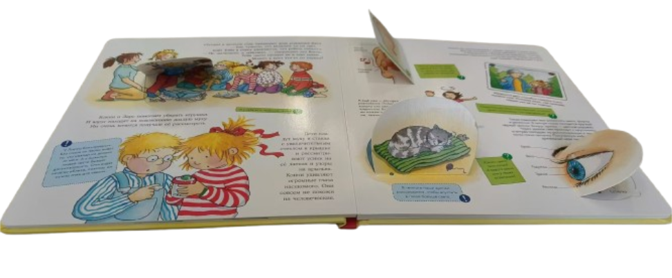 Board Book with Flaps