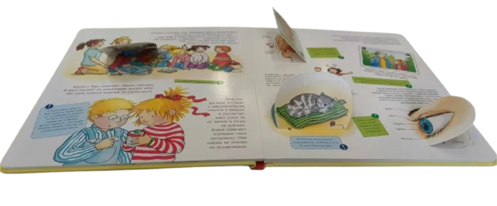 Lay-flat children's picture book sample